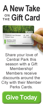 Gift Membership