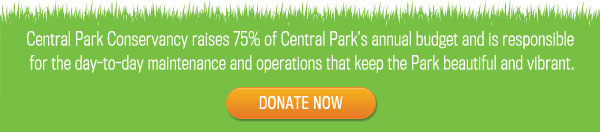 Central Park Conservancy raises 75%