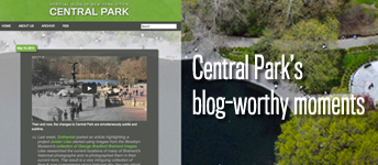 Central Park Blog