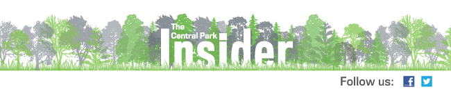 The Central Park Insider
