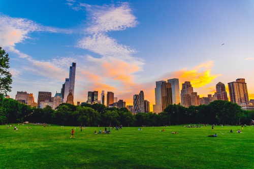 &quot;Cotton Candy Sheep Meadow&quot; by Mike Gutkin @mc_gutty