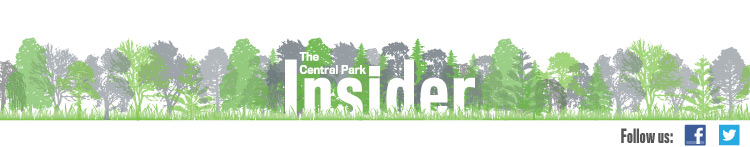 Central Park Insider