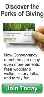 Member Benefits