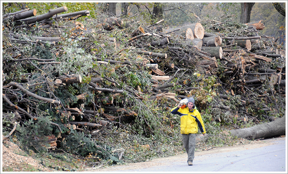 Cleanup after the storm