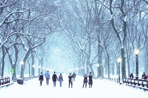 Silvery Lamps on the Mall in Winter