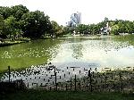 The Harlem Meer